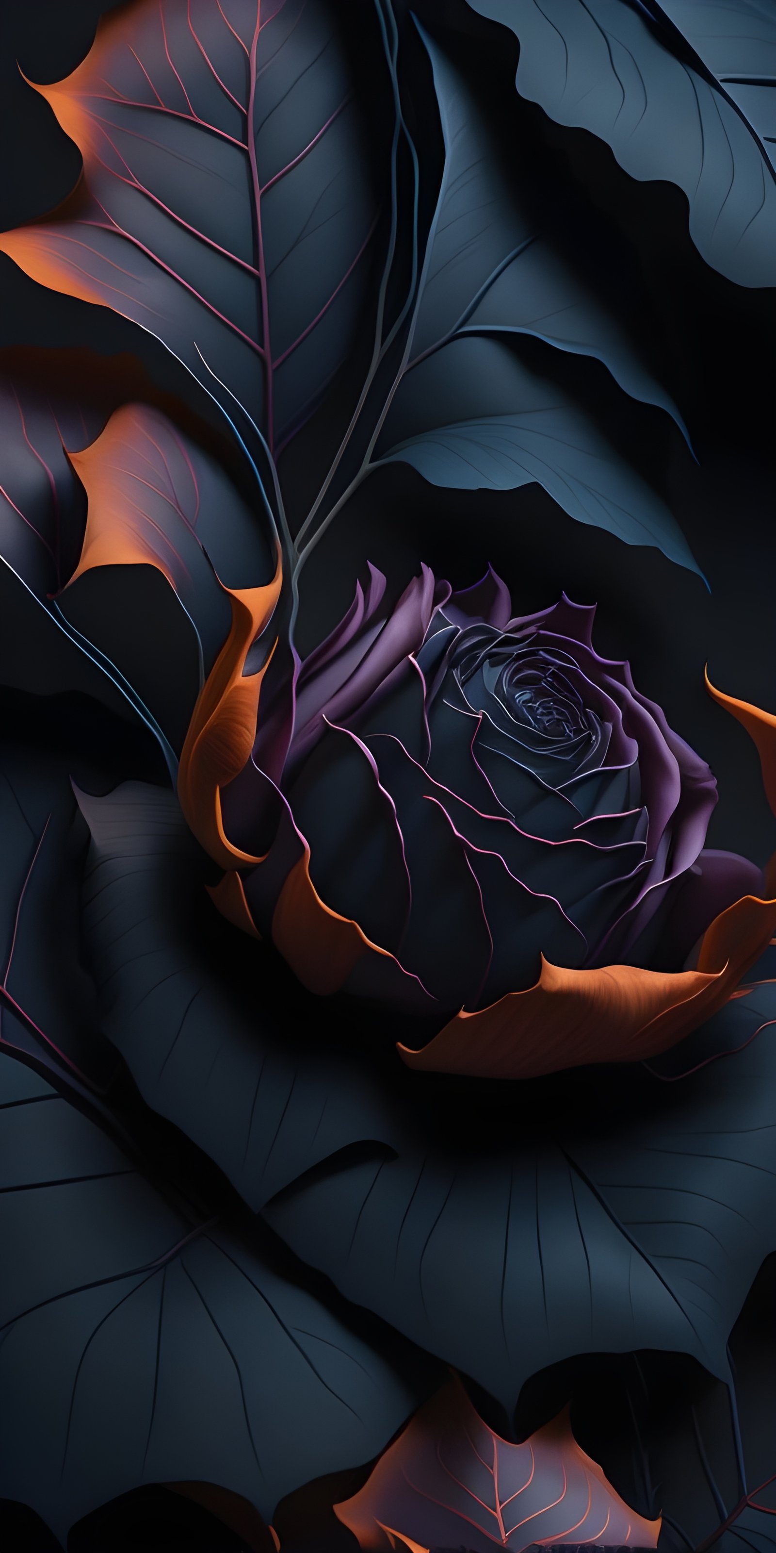 Black Rose HD Phone Wallpaper Download Now