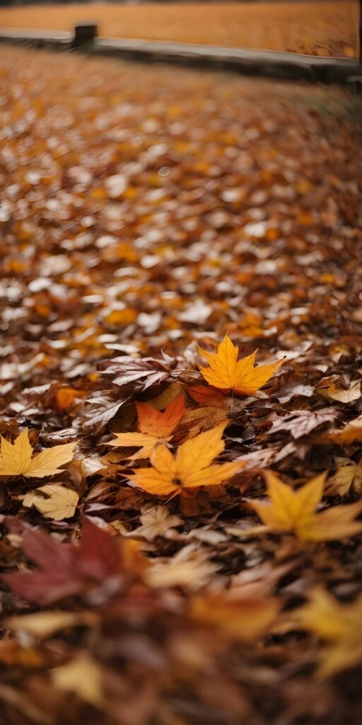 Autumn Fall Wallpaper, nature #52