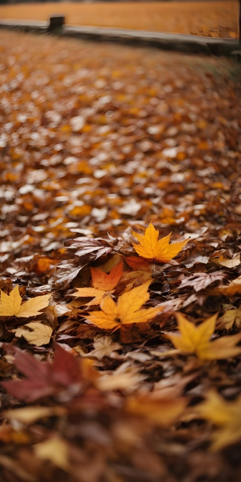 Autumn Fall Wallpaper, nature #52