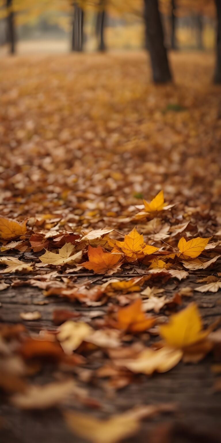 Autumn Fall Wallpaper, nature #53